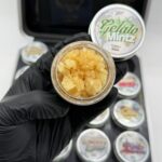 Whole Melts Passport Edition