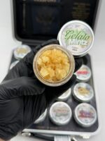 Whole Melts Passport Edition